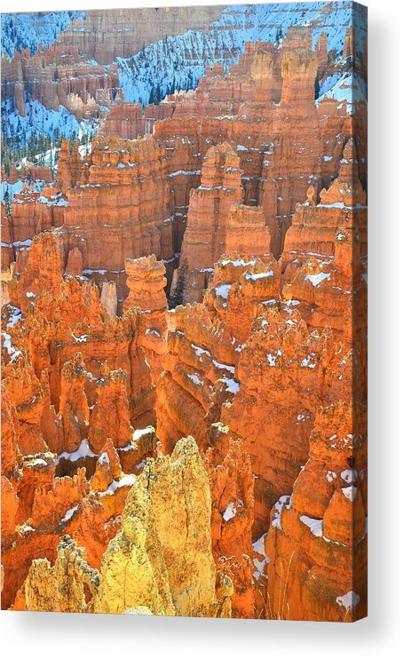 Bryce Canyon National Park Acrylic Print featuring the photograph Bryce Canyon #39 by Ray Mathis