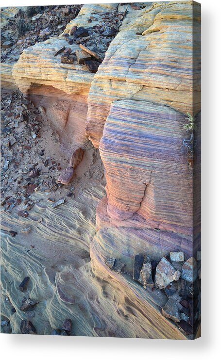 Nevada Acrylic Print featuring the photograph Nevada Desert #2 by Ray Mathis