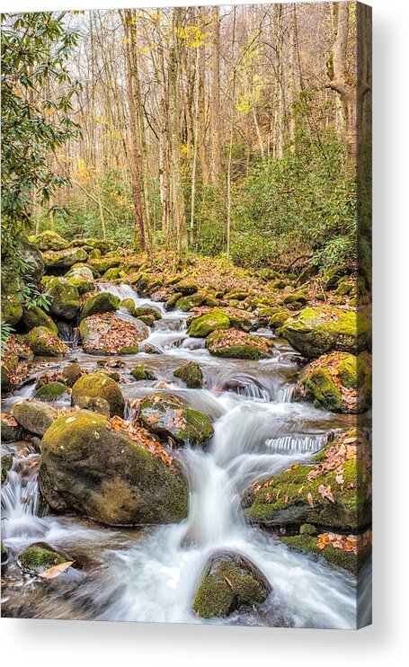 Cades Cove Acrylic Print featuring the photograph Smoky Mountain Stream 1 by Victor Culpepper