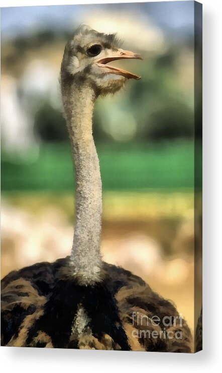 Ostrich Acrylic Print featuring the painting Ostrich #5 by George Atsametakis