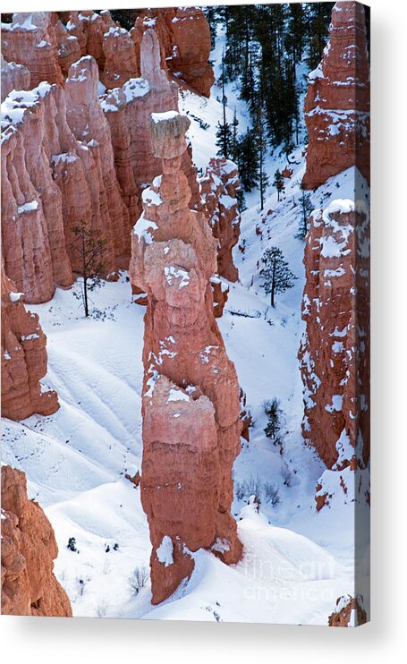 Bryce Canyon Acrylic Print featuring the photograph Sunset Point Bryce Canyon National Park #9 by Fred Stearns