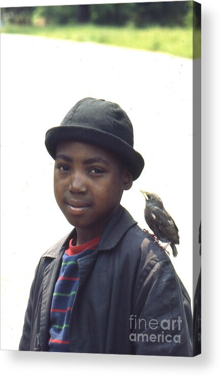 Bird Acrylic Print featuring the photograph A Little Bird Told Me by Erik Falkensteen