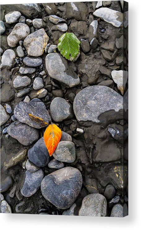Landscape Acrylic Print featuring the photograph A Sign of Fall by Kyle Lavey