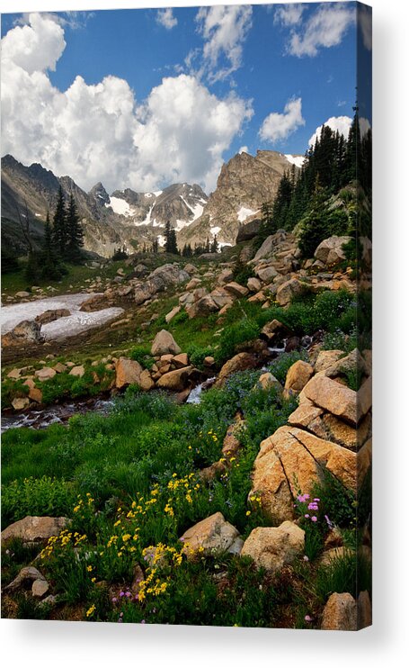 Landscapes Acrylic Print featuring the photograph A Stream Runs Through It by Ronda Kimbrow