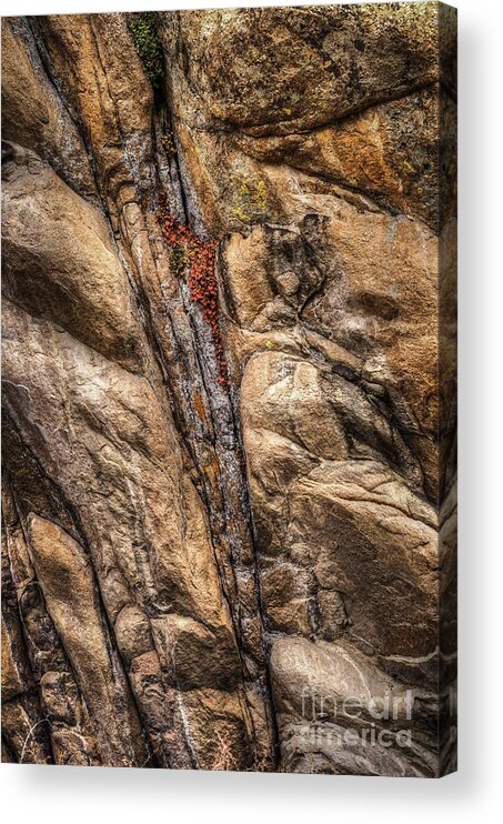 Mountain Stone Acrylic Print featuring the photograph A Touch of Red by David Waldrop
