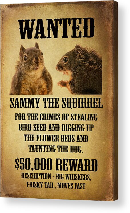 Squirrels Acrylic Print featuring the photograph A Wanted Squirrel by Peggy Collins