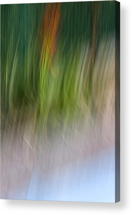 Abstract Acrylic Print featuring the photograph Abstract by Raffaella Lunelli
