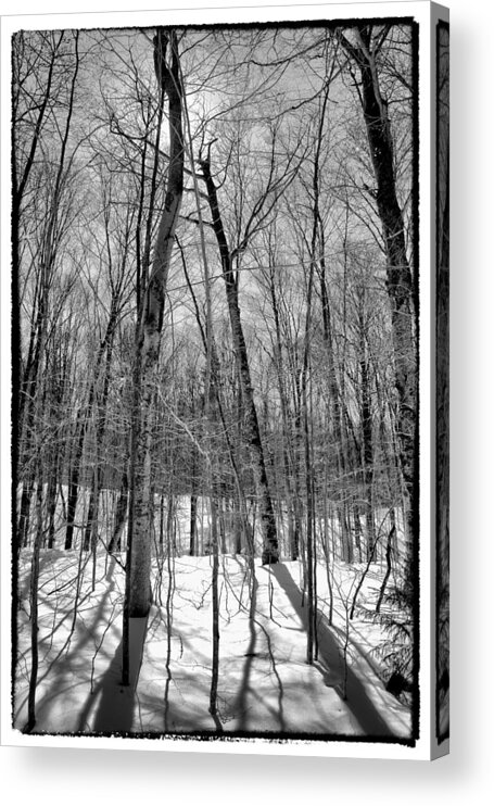 Adirondack's Acrylic Print featuring the photograph Adirondack Shadows II by David Patterson