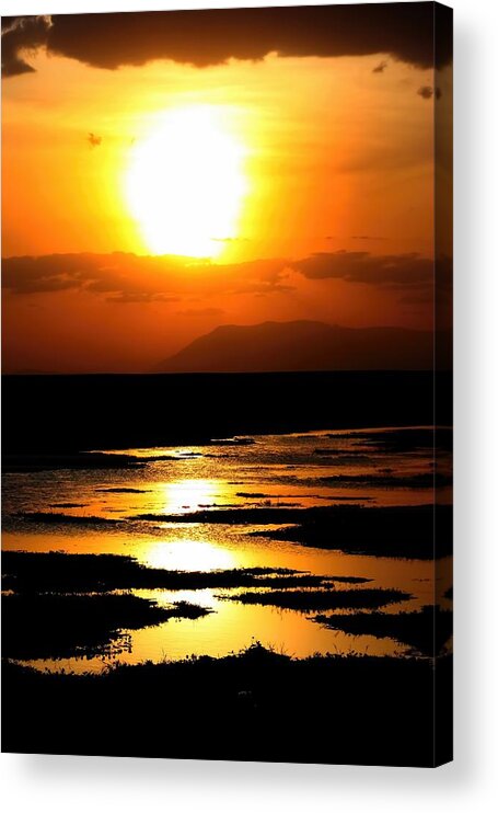Sunset Acrylic Print featuring the photograph African Sunset by Amanda Stadther
