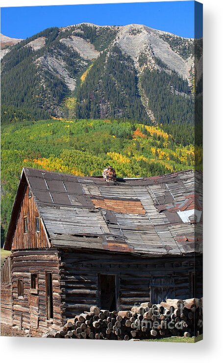 Autumn Colors Acrylic Print featuring the photograph Aging Beauty by Jim Garrison