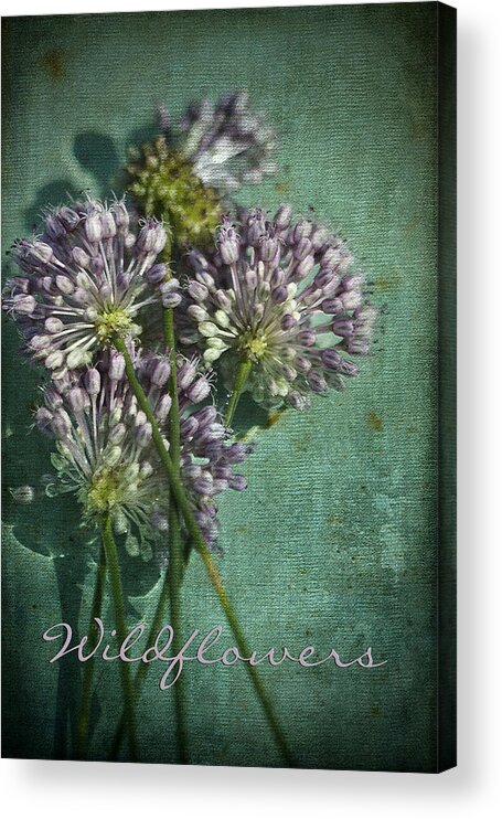 Allium Cernuum Acrylic Print featuring the photograph Alabama Allium Wildflowers by Kathy Clark