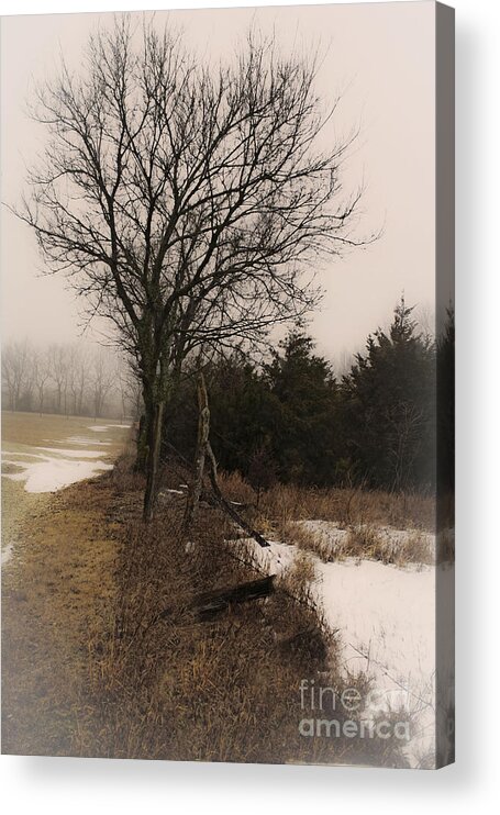 Fog Acrylic Print featuring the photograph Alone by Barbara Dean