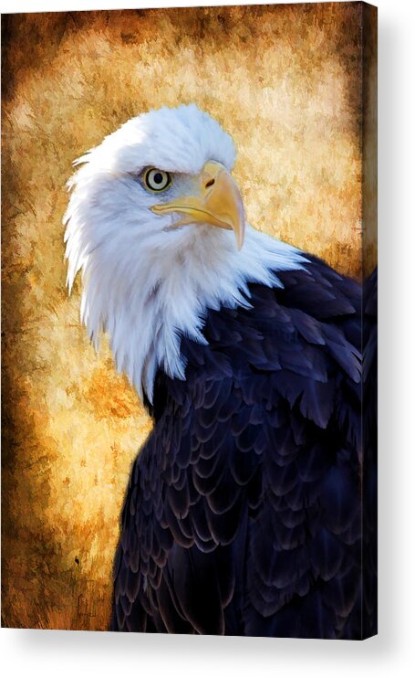 Eagle Acrylic Print featuring the photograph An Eagles Standpoint by Athena Mckinzie