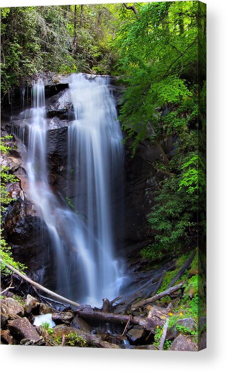 Water Acrylic Print featuring the photograph Anna Ruby Falls by Farol Tomson