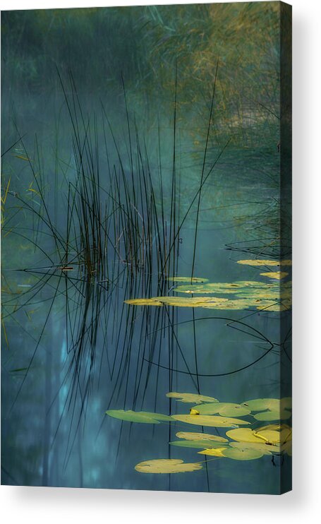 Water Acrylic Print featuring the photograph Aqua by Andreas Agazzi