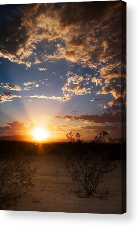 Arizona Acrylic Print featuring the photograph Arizona Desert Sunset by Brad Brizek