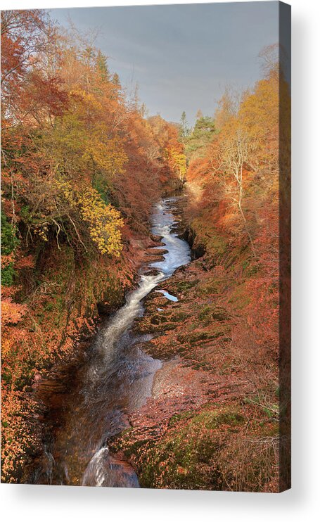 Tranquility Acrylic Print featuring the photograph Autumn At River North Esk by © Persley Photographics