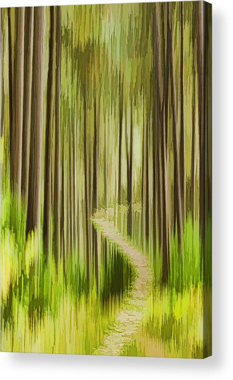 Forest Acrylic Print featuring the photograph Autumn Forest Abstract Version 3 by Thomas Young