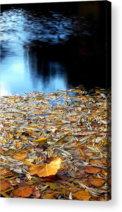 Waters Acrylic Print featuring the photograph Autumn Lake by Steven Milner