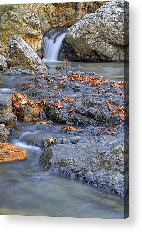 Arkansas Acrylic Print featuring the photograph Autumn Leaves at Little Missouri Falls - Arkansas - Waterfall by Jason Politte