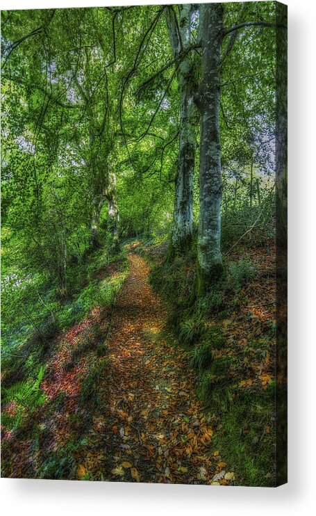 Autumn Acrylic Print featuring the photograph Autumn Path by Ian Mitchell