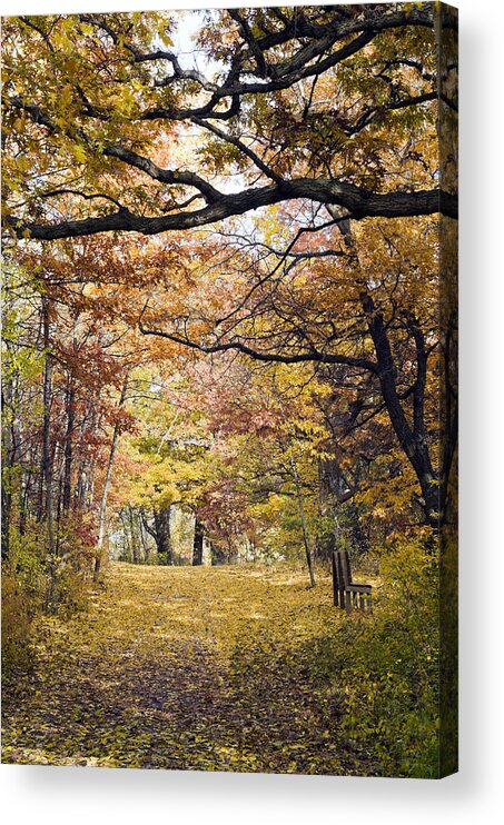 Autumn Acrylic Print featuring the photograph Autumn Pedestrian Path by Lynn Hansen