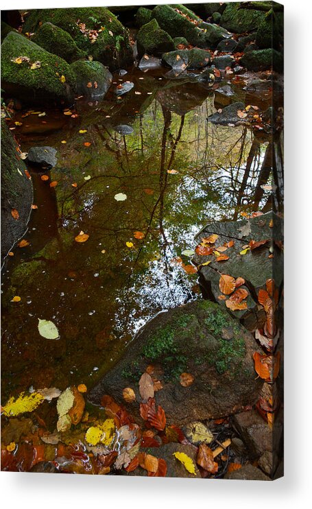 Padley Gorge Acrylic Print featuring the photograph Autumn Reflections Padley Gorge by Nick Atkin