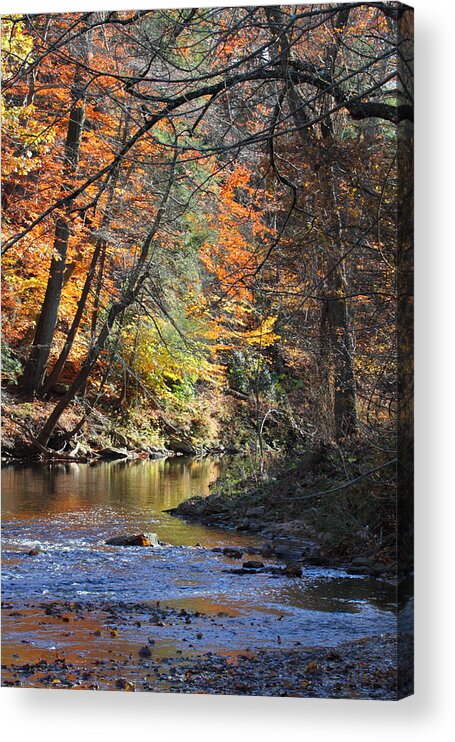 Water Acrylic Print featuring the photograph Autumn Spring by David Rosenthal