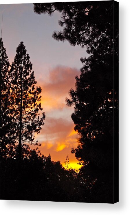 Sunset Acrylic Print featuring the photograph Autumn Sunset by Michele Myers
