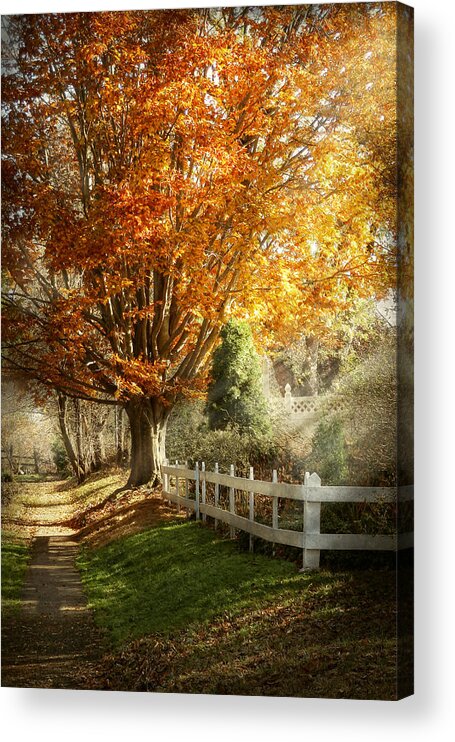 Autumn Acrylic Print featuring the photograph Autumn - Westfield NJ - I love autumn by Mike Savad