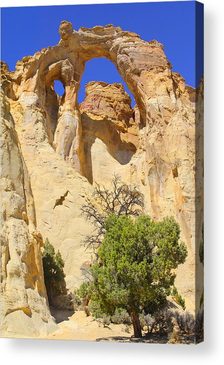 Travel Acrylic Print featuring the photograph Backroads Utah by Mike McGlothlen