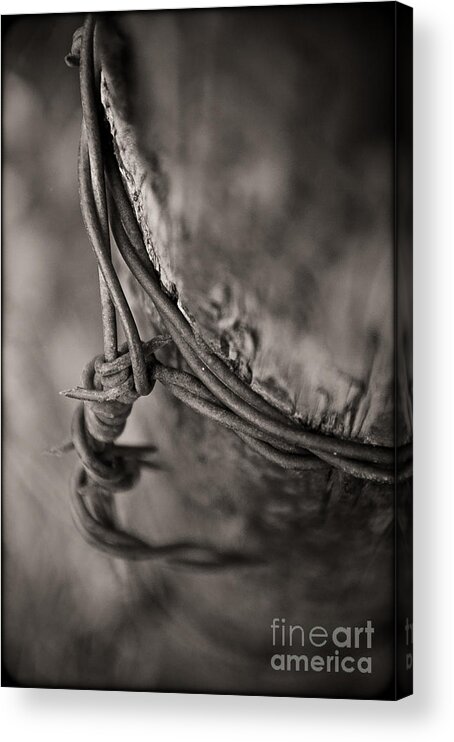 Post Acrylic Print featuring the photograph Barbed Wire by Sherry Davis