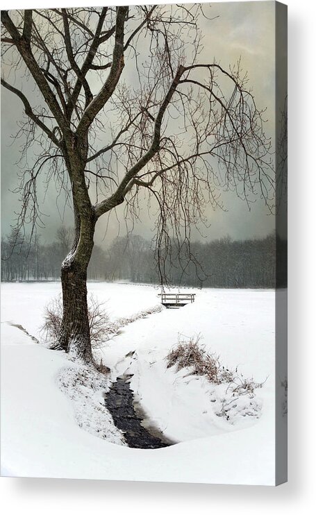 Tree Acrylic Print featuring the photograph Winter Brook by Robin-Lee Vieira