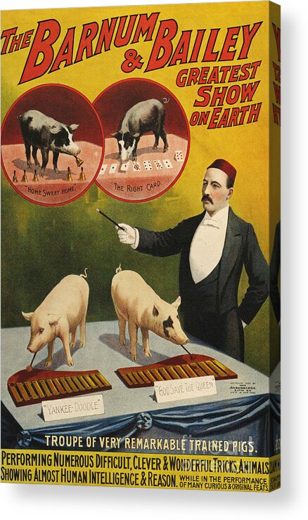 Posters Acrylic Print featuring the drawing Barnum & Bailey 1900s Slogans Greatest by The Advertising Archives