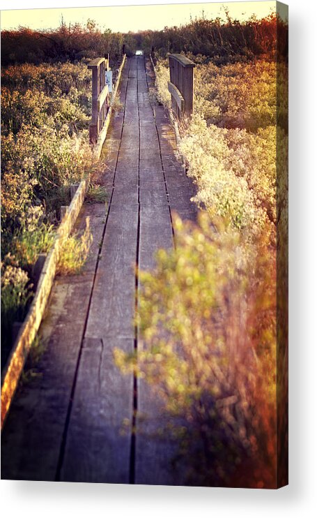 Baylands Acrylic Print featuring the photograph Bay Lands Walk by Kathleen Messmer