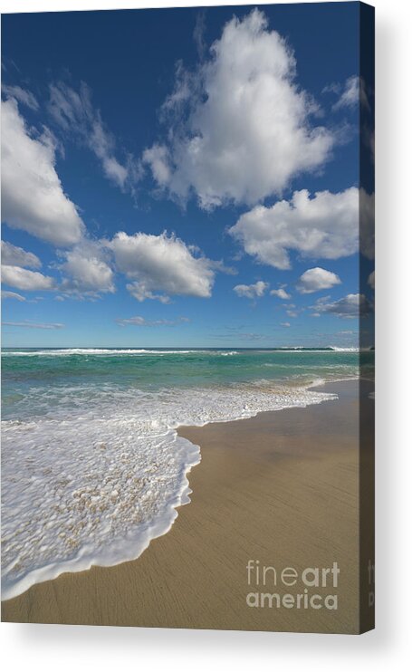 00463488 Acrylic Print featuring the photograph Beach And Cumulus Clouds Western by Yva Momatiuk and John Eastcott