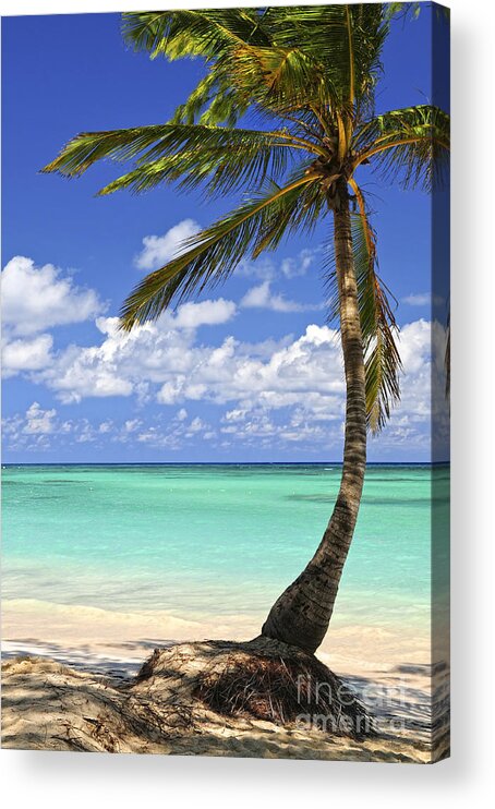Beach Acrylic Print featuring the photograph Beach of a tropical island by Elena Elisseeva