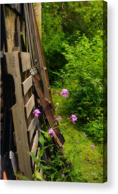 Behind The Old Shed Acrylic Print featuring the photograph Behind the Old Shed by Mary Machare
