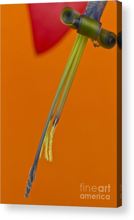 Heiko Acrylic Print featuring the photograph Bilbergia Windii Detail by Heiko Koehrer-Wagner