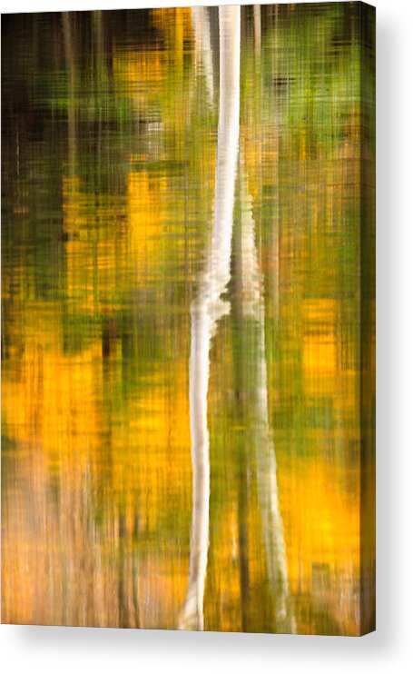 Abstract Acrylic Print featuring the photograph Birch Reflections by Jeff Sinon