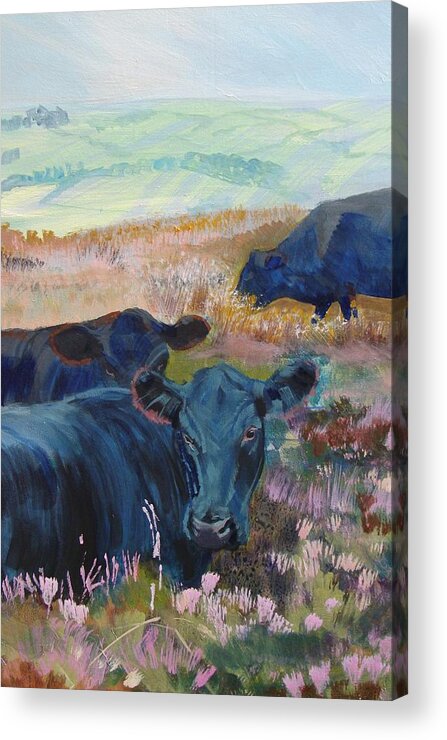 Cow Acrylic Print featuring the painting Black Cows on Dartmoor by Mike Jory