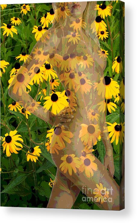 Nude Acrylic Print featuring the photograph Black Eyed Susie by Jack Ader