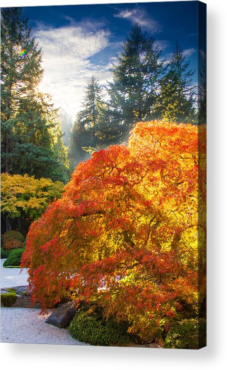 Oregon Fall Colors Acrylic Print featuring the photograph Bliss by Kunal Mehra