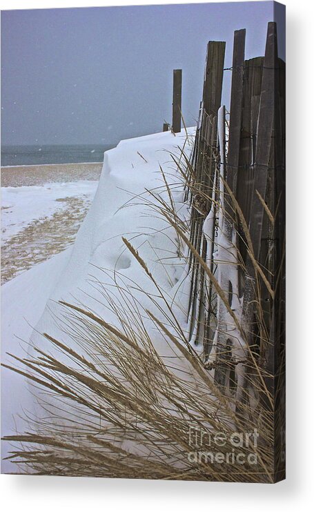 Blizzard Acrylic Print featuring the photograph Blizzard by Amazing Jules