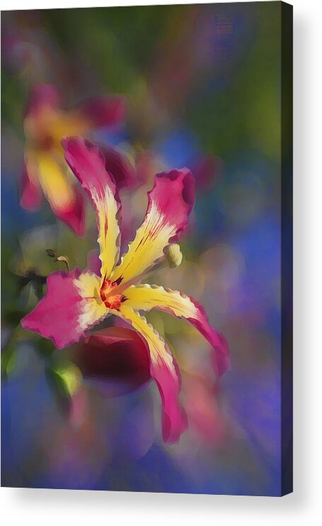 Hot Pink Acrylic Print featuring the photograph Bloomin Hong Kong Orchid by Scott Campbell