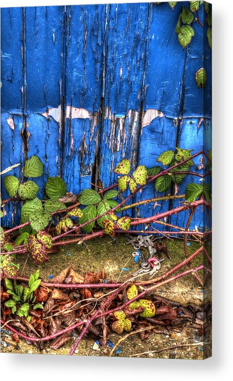 Blue Acrylic Print featuring the photograph Blue door by Spikey Mouse Photography