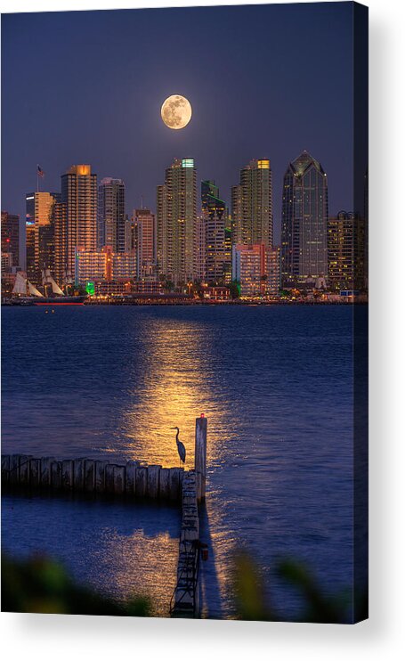 Moonlight Acrylic Print featuring the photograph Blue Heron Moon by Peter Tellone