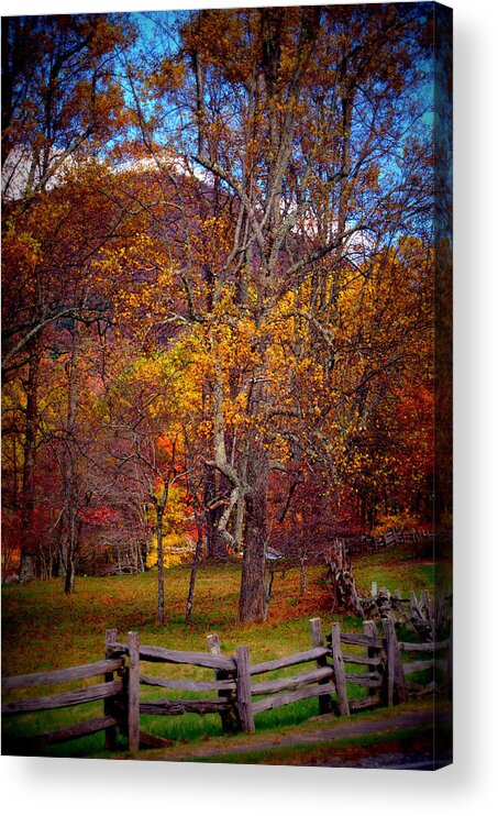 Blue Ridge Parkway Acrylic Print featuring the photograph Blue Ridge Fenced In Fall by Cathy Shiflett