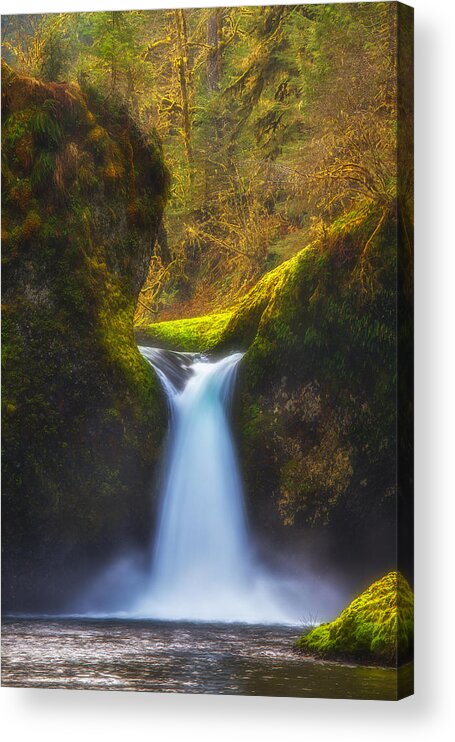 Waterfall Acrylic Print featuring the photograph Blueberry Punch by Darren White