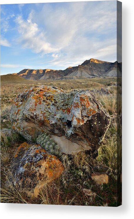 Bookcliffs Acrylic Print featuring the photograph Bookcliffs 145 by Ray Mathis